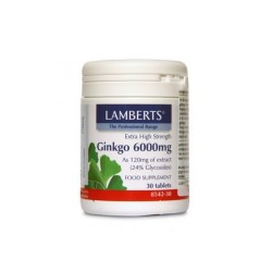 Lamberts Ginkgo 6000mg 30 tabs