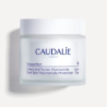 CAUDALIE VINOPERFECT DARK SPOT NIACINAMIDE MOISTURIZER 50ML
