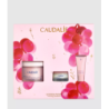 CAUDALIE SET XMAS 2025 FIRMING SOLUTION