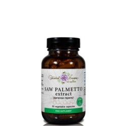 BH Saw Palmetto Ext 4:1 90Caps