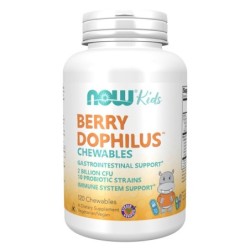 NOW BERRYDOPHILUS KIDS 2 BILLION 120 CHEWABLES