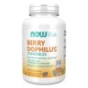 NOW BERRYDOPHILUS KIDS 2 BILLION 120 CHEWABLES